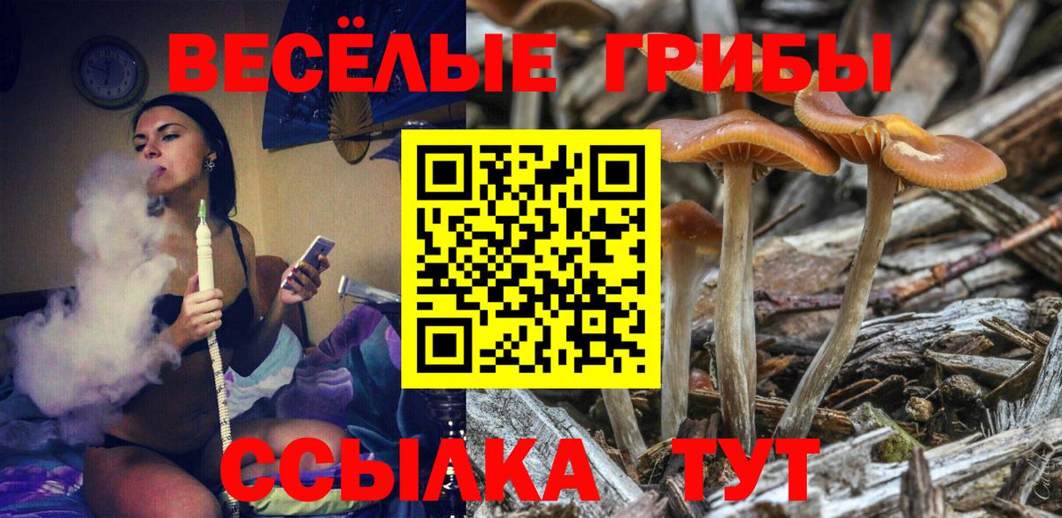 Псилоцибиновые грибы Psilocybe  Вход с VPN  Пушкино 