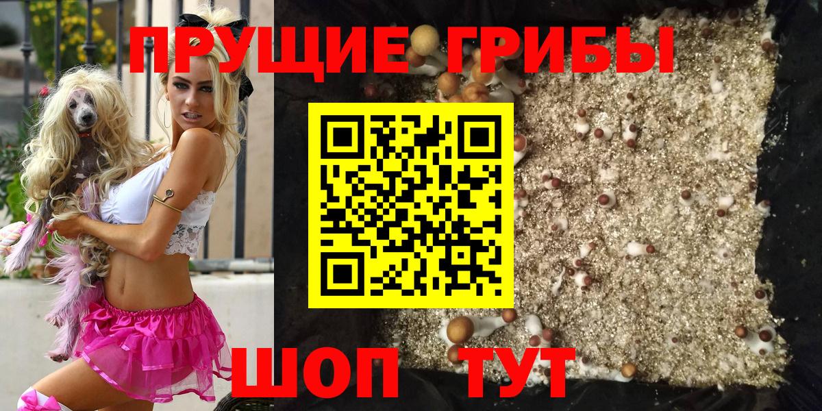 Псилоцибиновые грибы мицелий Пушкино
